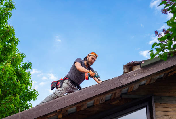 Best Roof Inspection  in USA